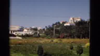 Portugal (1975): Garden Looking Beautiful With Lots Of Greenery And Flowers