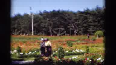 Portugal (1975): Two Women Walking Through A Big Field Or Forest