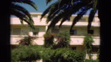 Portugal (1975): View Of White Buildings Behind Palm Trees On A Bright Sunny Day