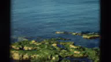 Portugal (1975): Camera Pans Across The Algae Covered Rocks To View The Water