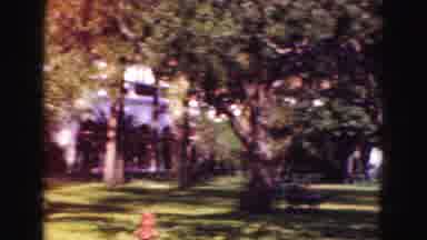 Florida Everglades USA (1975): Camera Panning To Cars As Wind Blows Through The