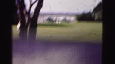 Florida Everglades USA (1975): A Carriage With A Horse And Driver Waits Outside A