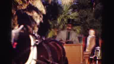 Florida Everglades USA (1975): A Carriage Ride On A Nice Day