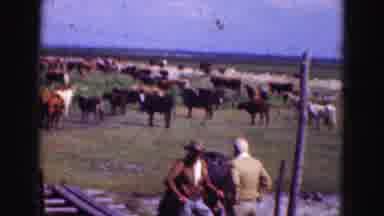 Florida Everglades USA (1975): Cowboys Holding His Horse While Talking To Someone