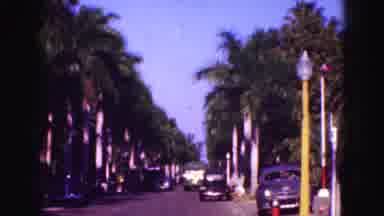 Florida Everglades USA (1975): Palm Trees Line A Coastal Street
