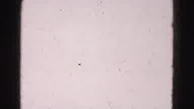 Florida Everglades USA (1975): A Group Of Adults And Children Spending Time