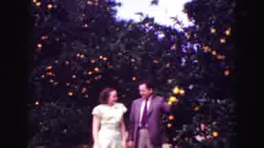FLORIDA EVERGLADES USA-1975: Man And Woman Stroll Through Orange Grove