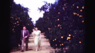Florida Everglades USA (1975): A Man And Woman Talking Walking Through A Maze