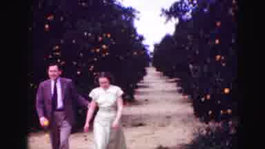 Florida Everglades USA (1975): Couple Walking Thru A Garden And Looking Happy With