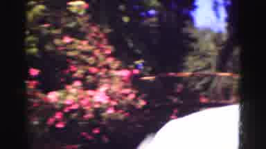 Florida Everglades USA (1975): Vintage Film Footage Of California Vacation With