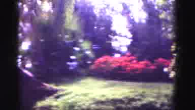 Florida Everglades USA (1975): Meteor Garden Shower Family And Fun Love Place