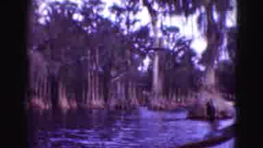 Florida Everglades USA (1975): A Coloured Video Of A Forest Near River