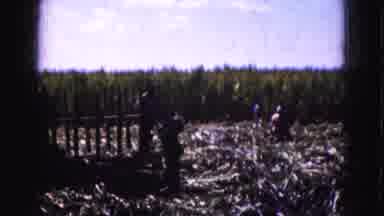 Florida Everglades USA (1975): People Playing In A Field