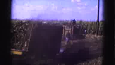 Florida Everglades USA (1975): A Group Of Trees Then Hay Being Transported On Farm