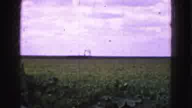 Florida Everglades USA (1975): A Camera Surveying The Land Of Green Plants On A