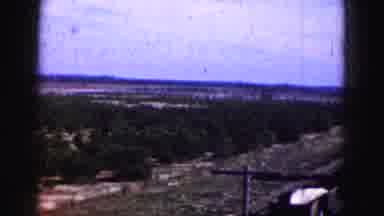 Florida Everglades USA (1975): It Is Very Natural To Look Around And See Nature