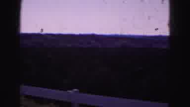 Florida Everglades USA (1975): Camera Pans Across A Field That Appears To Be