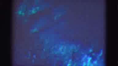Florida Everglades USA (1975): Deep Blue Sea Exploration Of Baby Sharks And Their