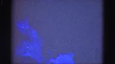 Florida Everglades USA (1975): A View Of The Ocean At Nighttime