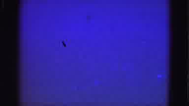 Florida Everglades USA (1975): A Coloured Video Of The Undersee Life