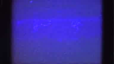 Florida Everglades USA (1975): Several People Swimming Underwater In An Ocean