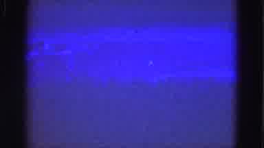 Florida Everglades USA (1975): A Person And Sea Animals Swimming In The Sea