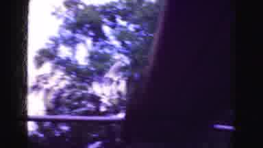 Florida Everglades USA (1975): Someone Filming The Birds While Driving