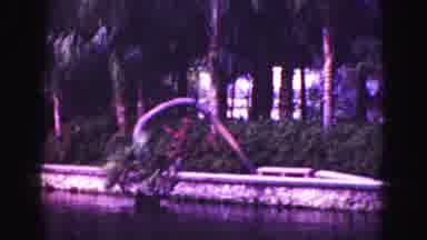 Florida Everglades USA (1975): Bent Tree Of The Lake