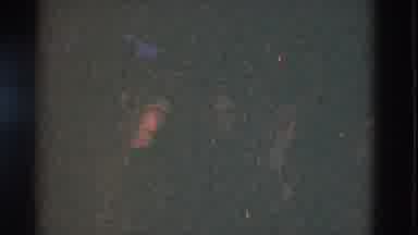 Somerset Kentucky USA (1975): Buddies Hanging Around A Fire Playing Music And