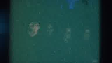 Somerset Kentucky USA (1975): Group Of Older Men Sitting Around A Campfire Talking