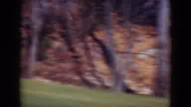 Middletown Pennsylvania (1975): A Beautiful Landscape With Trees Grass And A Road