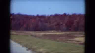 Middletown Pennsylvania (1975): Passing View Of Auburn Colored Fall Foliage On A