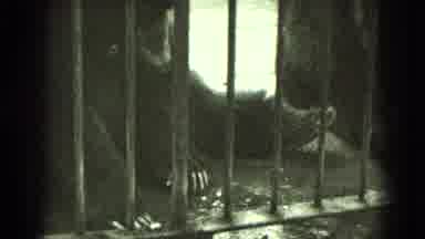 Middletown Pennsylvania (1975): A Picture Of Darkness Nothing Can Be Seen