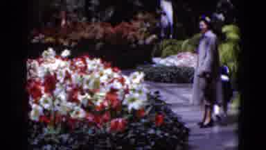 Middletown Pennsylvania (1975): Flowers Parks Women Colour Red Orange Blue Green