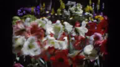 Middletown Pennsylvania (1975): This Video View As Shown In Bunch Of Flowers At