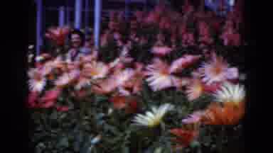 Middletown Pennsylvania (1975): Young People Explores The Garden Filled With