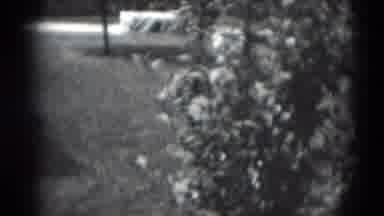 Middletown Pennsylvania (1975): The Baby Was Standing In The Water Bowl