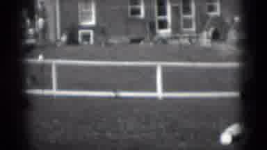 Middletown Pennsylvania (1975): A White Gate And A Row Of Tree Seedlings On A