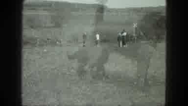 Milwaukee Wisconsin USA (1975): Double Exposed Film Showing Both Dog And Cat