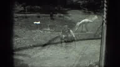 Milwaukee Wisconsin USA (1975): Girls Completes A Cartwheel In A Grass Field With