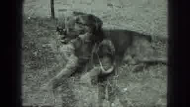 Milwaukee Wisconsin USA (1975): Animals People Mother Daughter Together Roller