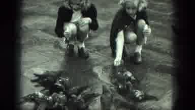 Venice Italy (1975): Three Young Ladies Kneeling In The Street Feeding Wild