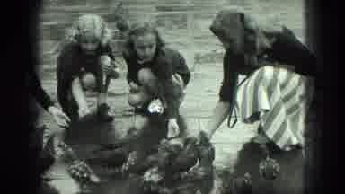 Venice Italy (1975): Three Girls Feed Large Flock Of Pigeons On A Rainy Day