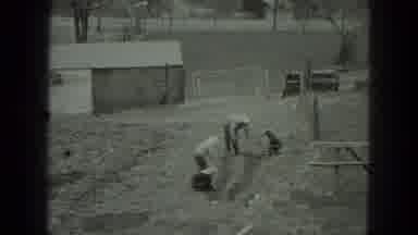 Milwaukee Wisconsin USA (1975): Old Time Film Of Family Planting Crops Very Hard