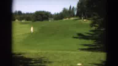 Duluth Minnesota USA (1975): A Pond Surrounded By Trees And Grass In A Large Open