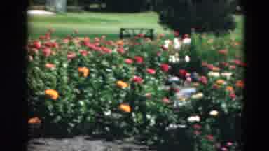 Duluth Minnesota USA (1975): The People Was Walking In The Garden