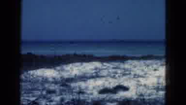 Florida USA (1975): Panning Breezy Beach