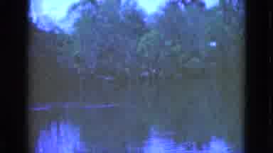 Florida USA (1975): A Person See The Train Moving Fastly On The Bridge