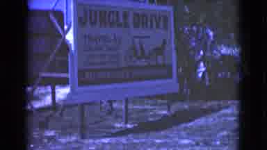 Florida USA (1975): The Fish Was Moving In The Water