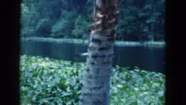 Florida USA (1975): A View Of People Walking In A Field On What Looks Like An